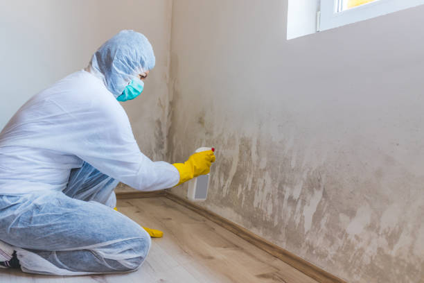 Mold inspector in Lincoln Park performing thermal imaging